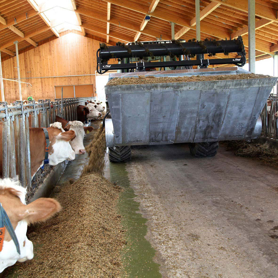 Einfütterschaufel – Bild 3