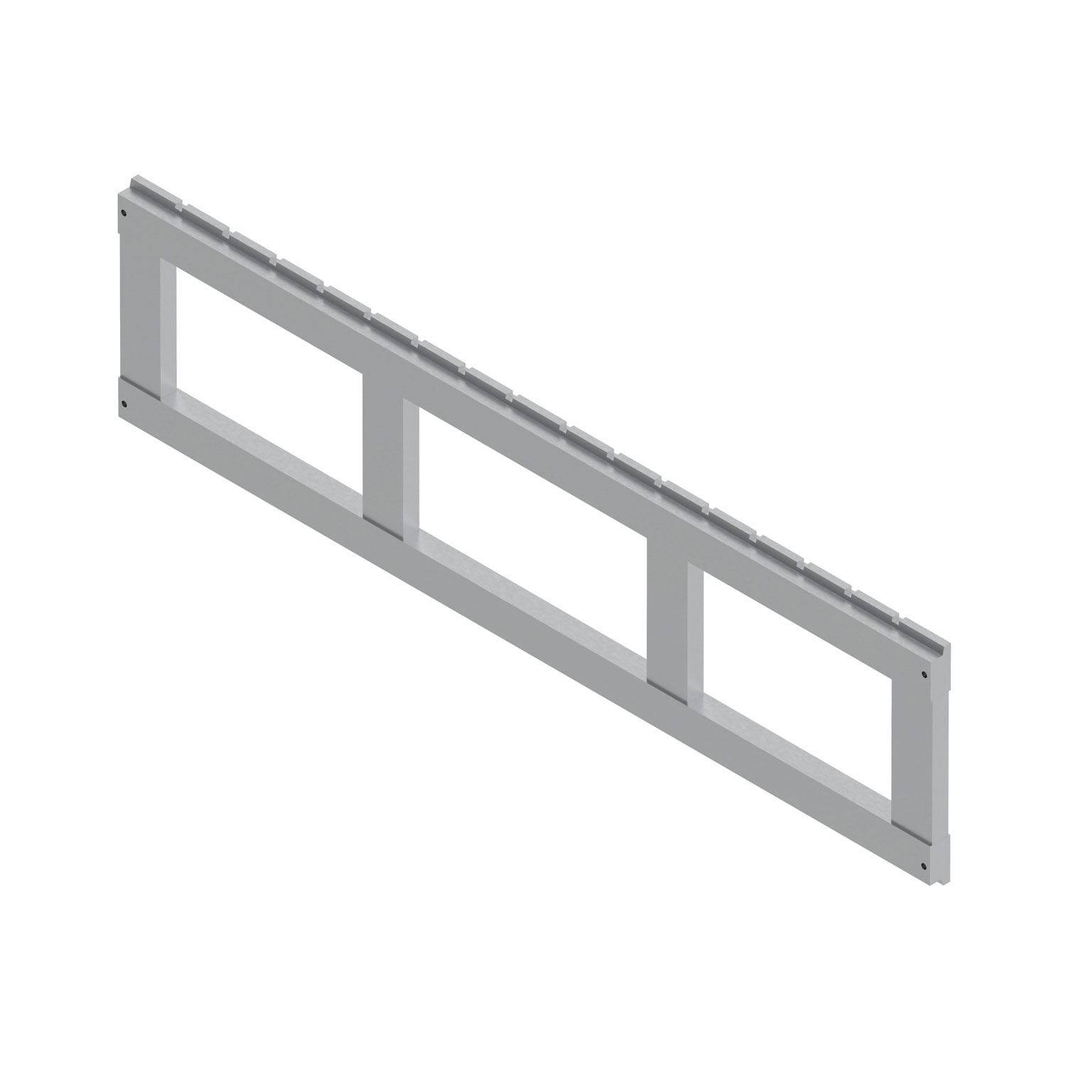 Führungsschiene »Schwerlast«